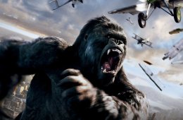 Imagen muestra de la actividad King Kong 2005