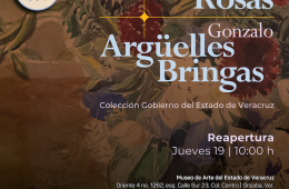 Imagen muestra de la actividad Ignacio Rosas y Gonzalo Argüelles Bringas