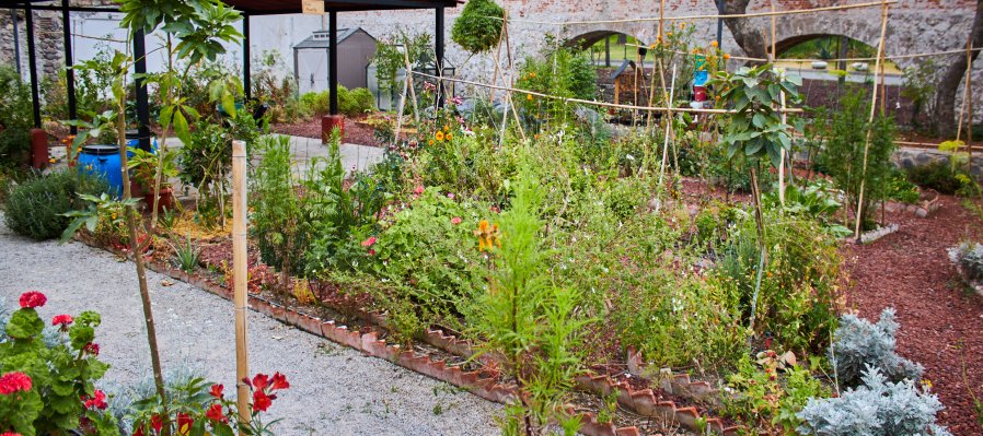 Taller: brotes en el muro.