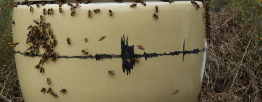 El canto de la abeja reina