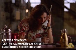 Acervos de México. Centro Nacional de las Artes.