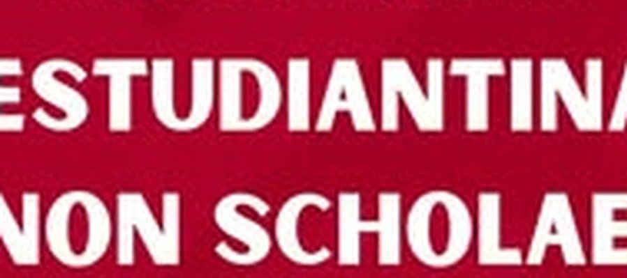 Non Scholae