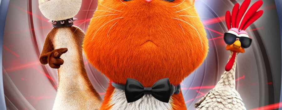 Agente 00-gato