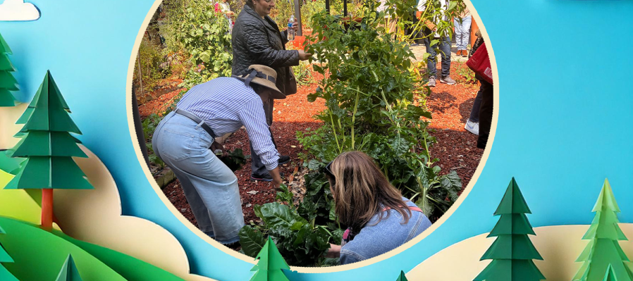Curso de agroecología
