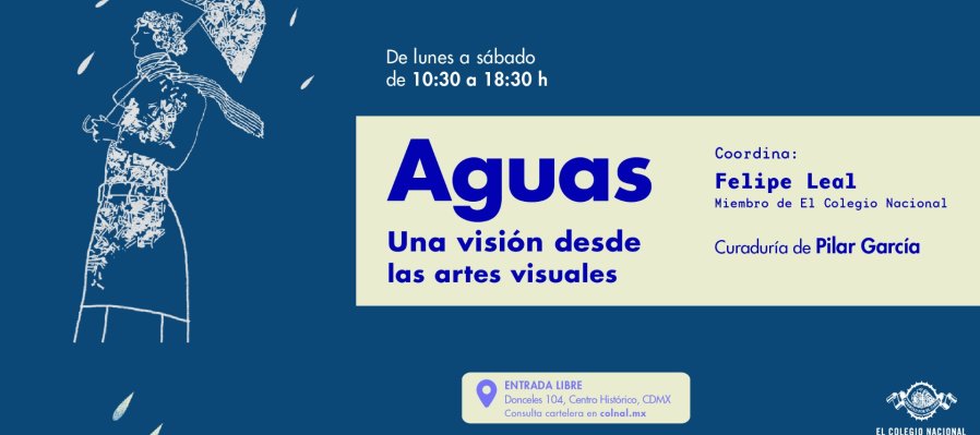 Aguas: una visión desde las artes visuales