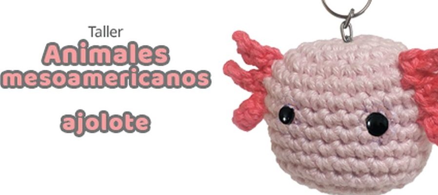 Ajolote