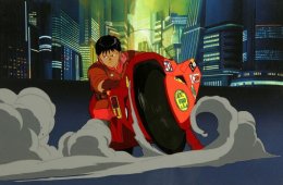 Imagen muestra de la actividad Akira