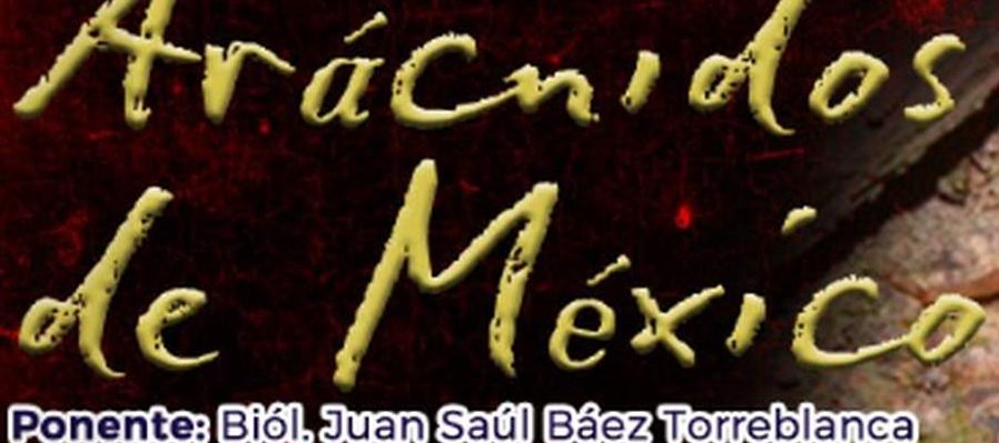 Alacranes y pajarillos