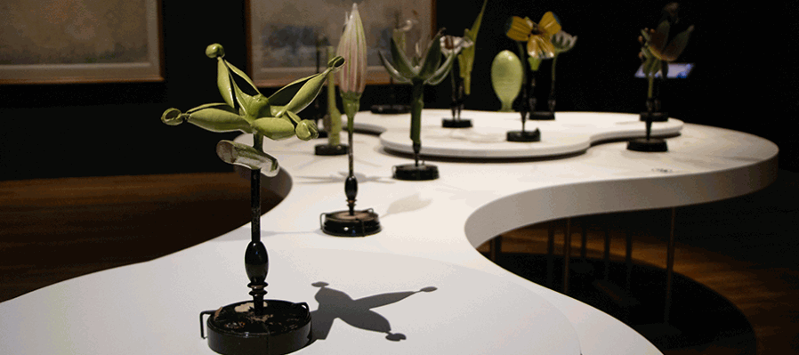 Alan Glass. Sorprendente hallazgo