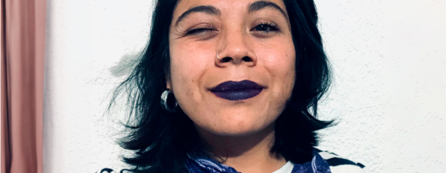 Alebrije soy