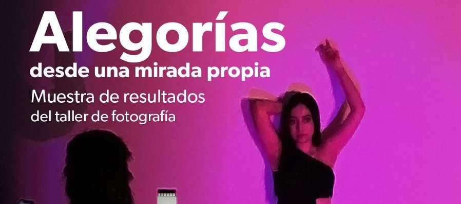Alegorías del mal gobierno