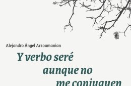 Imagen muestra de la actividad Y verbo seré, aunque no me conjuguen