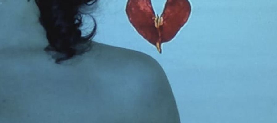 Rituales, psicomagia y alquimia