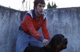 Imagen muestra de la actividad Amores Perros