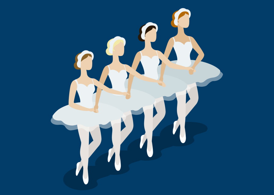 Imagen muestra de la actividad Análisis de El Lago de los Cisnes