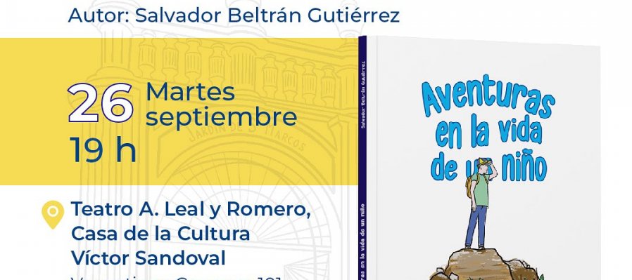 Aventuras en la vida de un niño