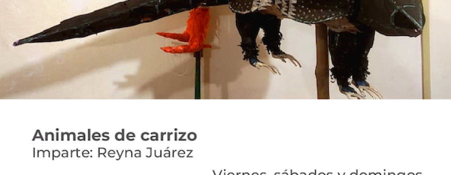 Animales de carrizo