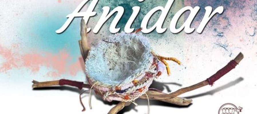 Anidar