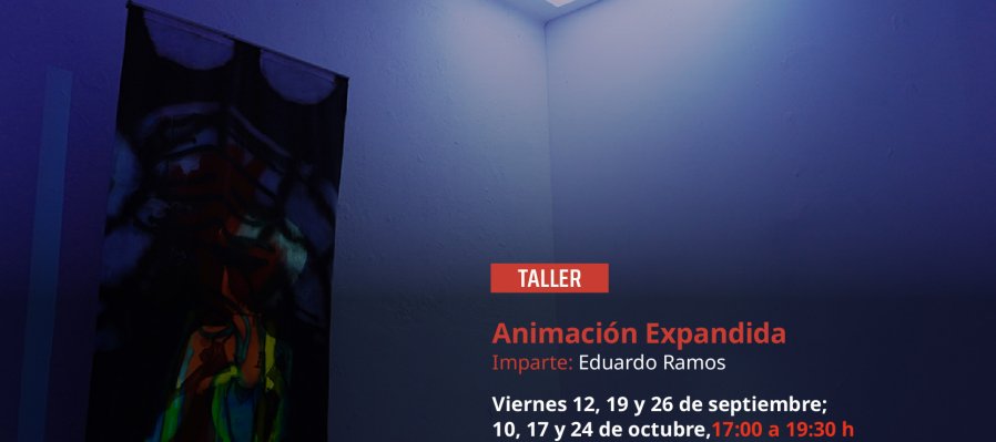 Taller de Animación Expandida