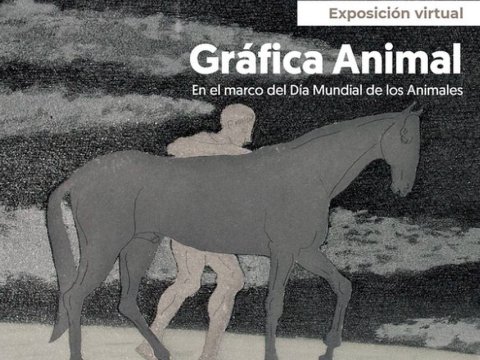 Gráfica Animal
