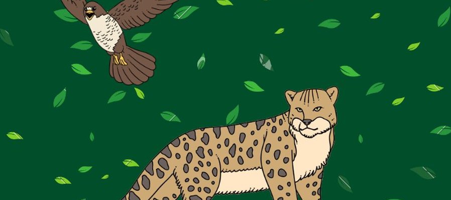 Animales en peligro. Construye el cambio