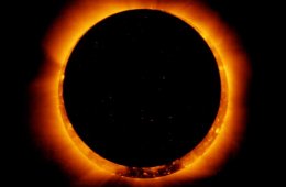 Taller: Entre la luz y la oscuridad