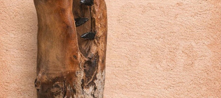 Antología Plástica