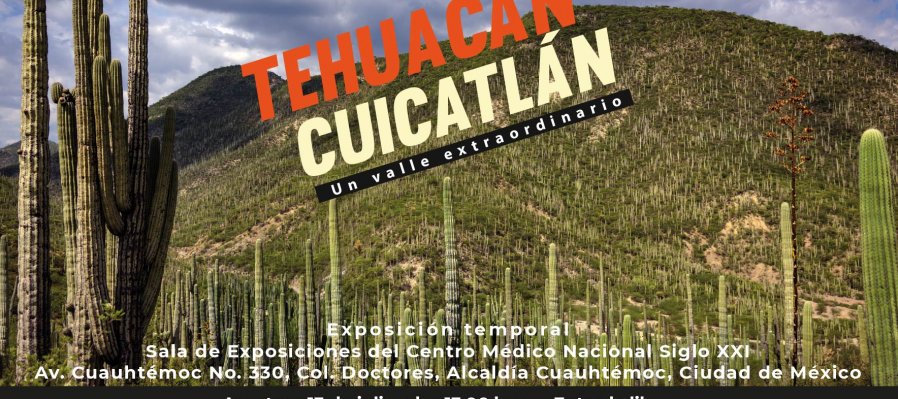 Tehuacán-Cuicatlán.