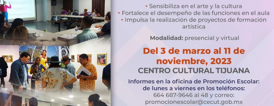 Diplomado en Apreciación de las Artes I y II