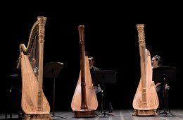 Imagen muestra de la actividad Ensamble de arpas de la Orquesta Escuela Carlos Chávez