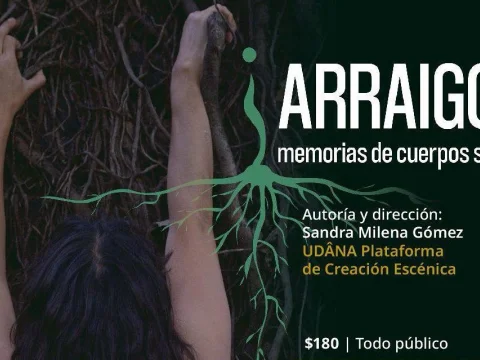 Arraigo