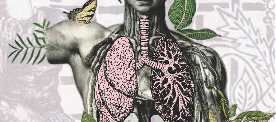 Arte forense