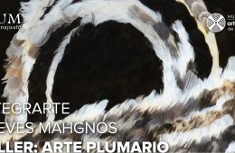 Imagen muestra de la actividad: Taller: Arte plumario