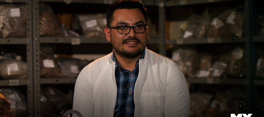 Una arteria en el imperio