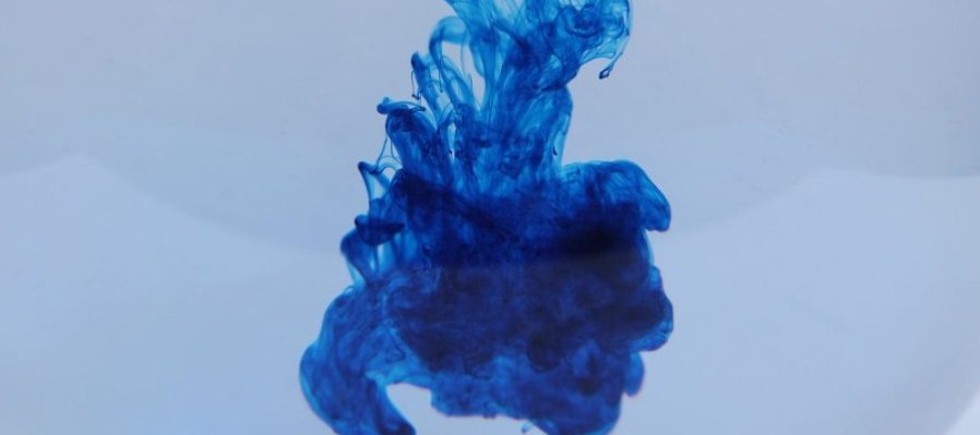 Artes del libro para cocodrilos: libro flotante