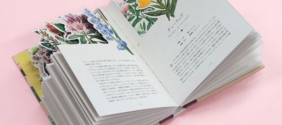 Artes del libro para cocodrilos: El poético libro luminoso