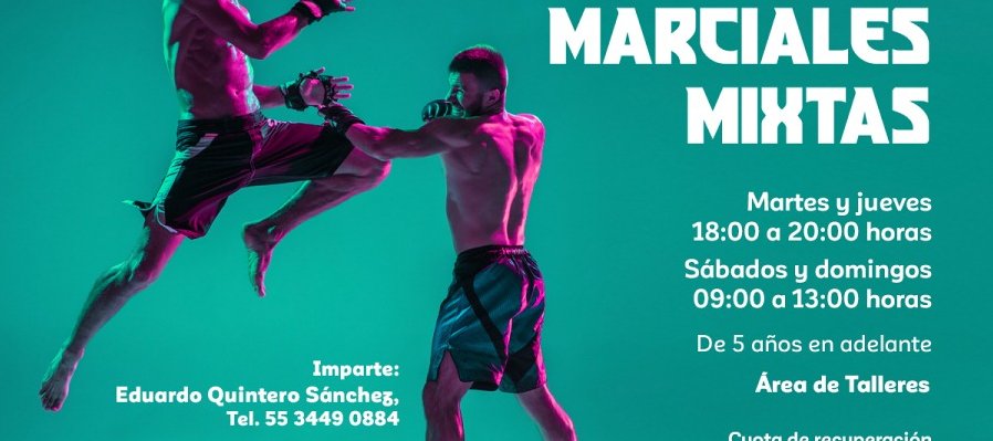 Artes Marciales Mixtas