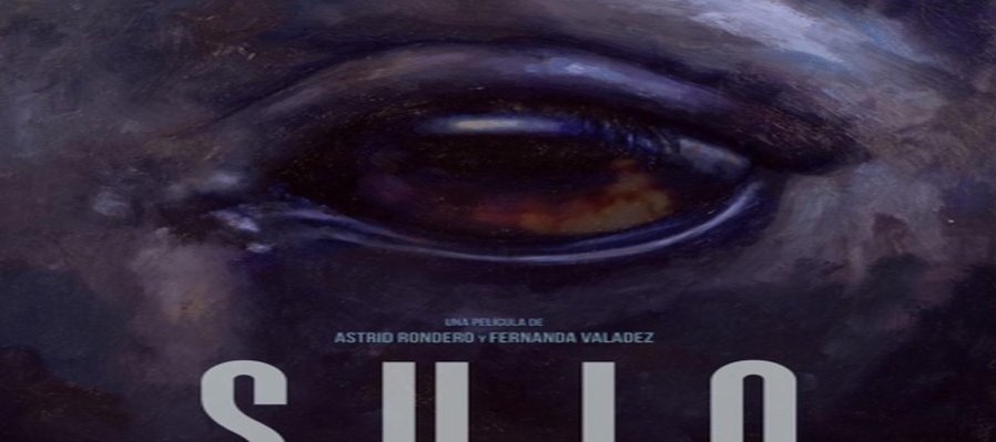 Su hijo sicario (SUJO)