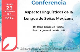 Imagen muestra de la actividad Aspectos lingüísticos de la Lengua de Señas Mexicana