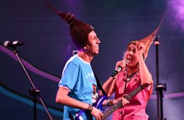 Imagen muestra de la actividad: Aterciopelados