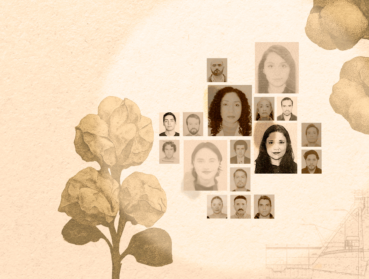 Imagen muestra de Autobiografía del algodón