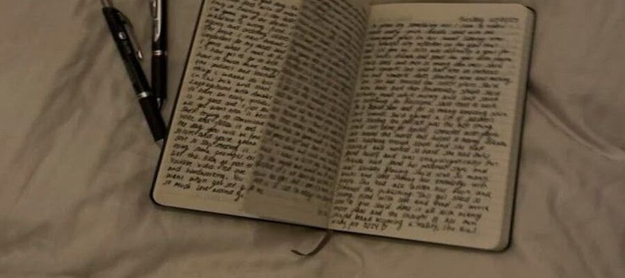 Diario literario: un acercamiento a la autobiografía