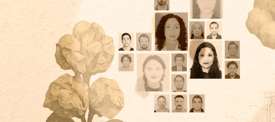 Autobiografía del algodón