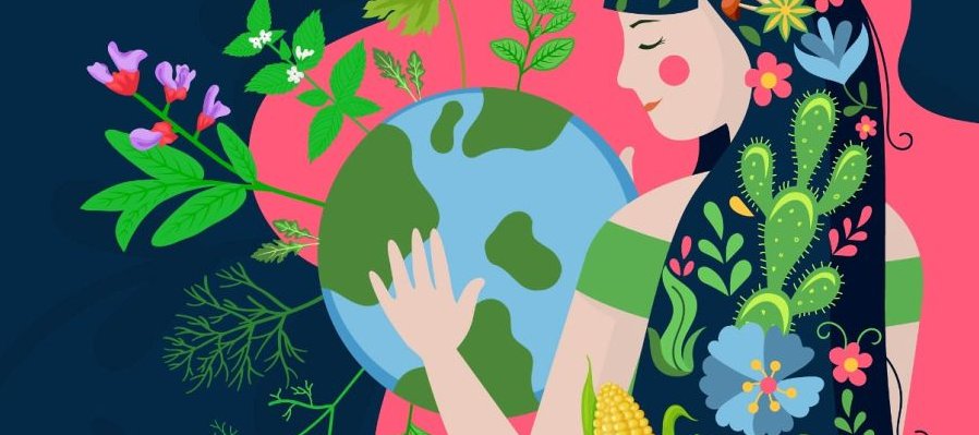 Tu cultivo de plantas aromáticas y medicinales en casa
