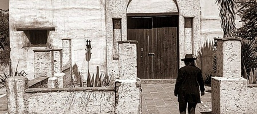 Ave de otras tierras