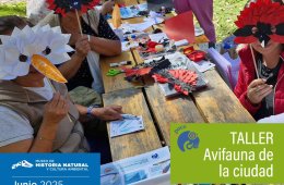 Imagen muestra de la actividad Avifauna de la ciudad