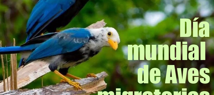 Día mundial de las aves migratorias