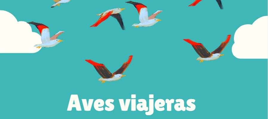 Aves viajeras. Construye el cambio