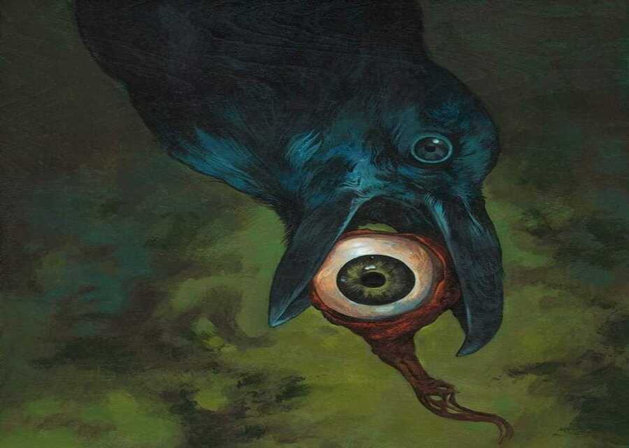 Imagen muestra de la actividad Las aves y la muerte