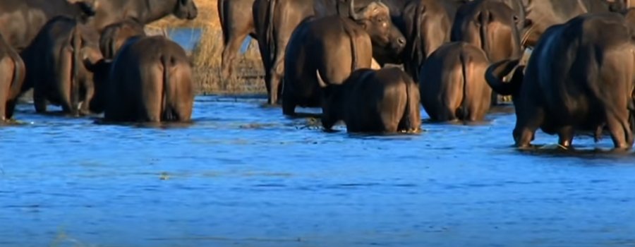 África, continente enigmático